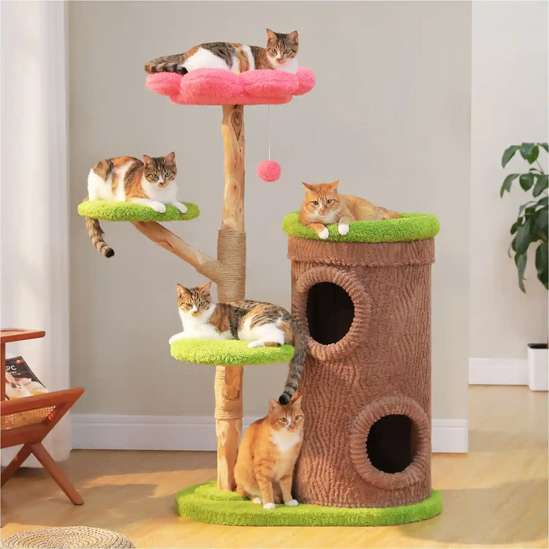 Arbres à chat et tours dans Meubles pour chats