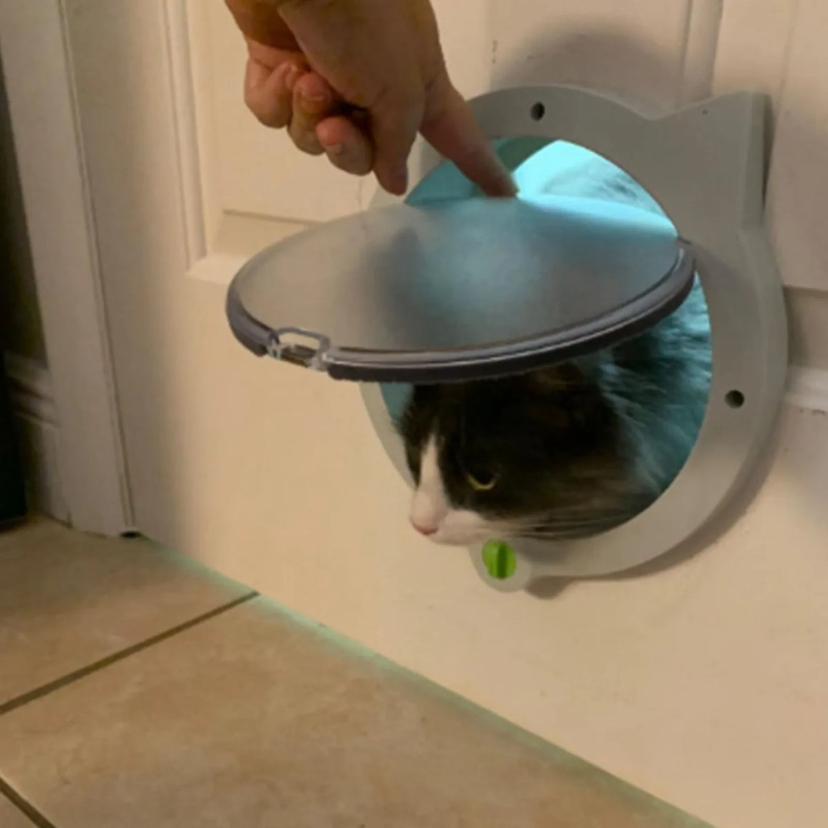 Chatiere pour Chats,Porte pour Chat 