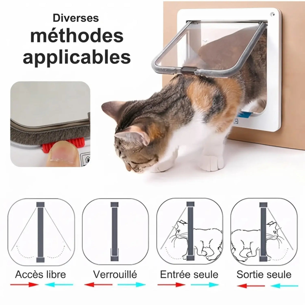 Chatiere pour Chats,Porte pour Chat