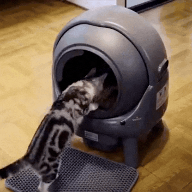 Litière automatique connectée 65L  silencieuse - Litièrecat