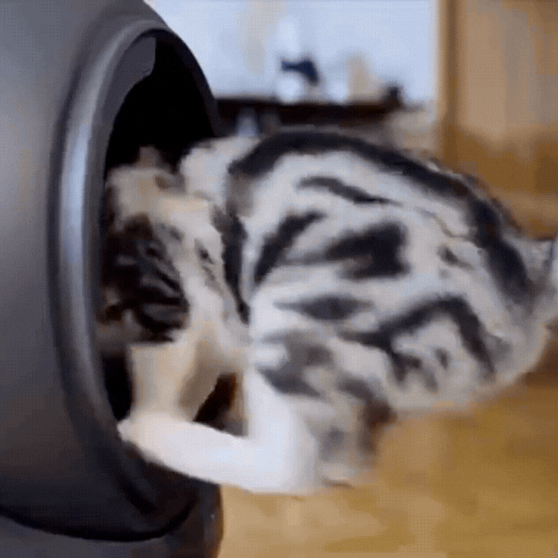 Litière automatique connectée 65L ioniseur autonettoyante silencieuse - Litièrecat