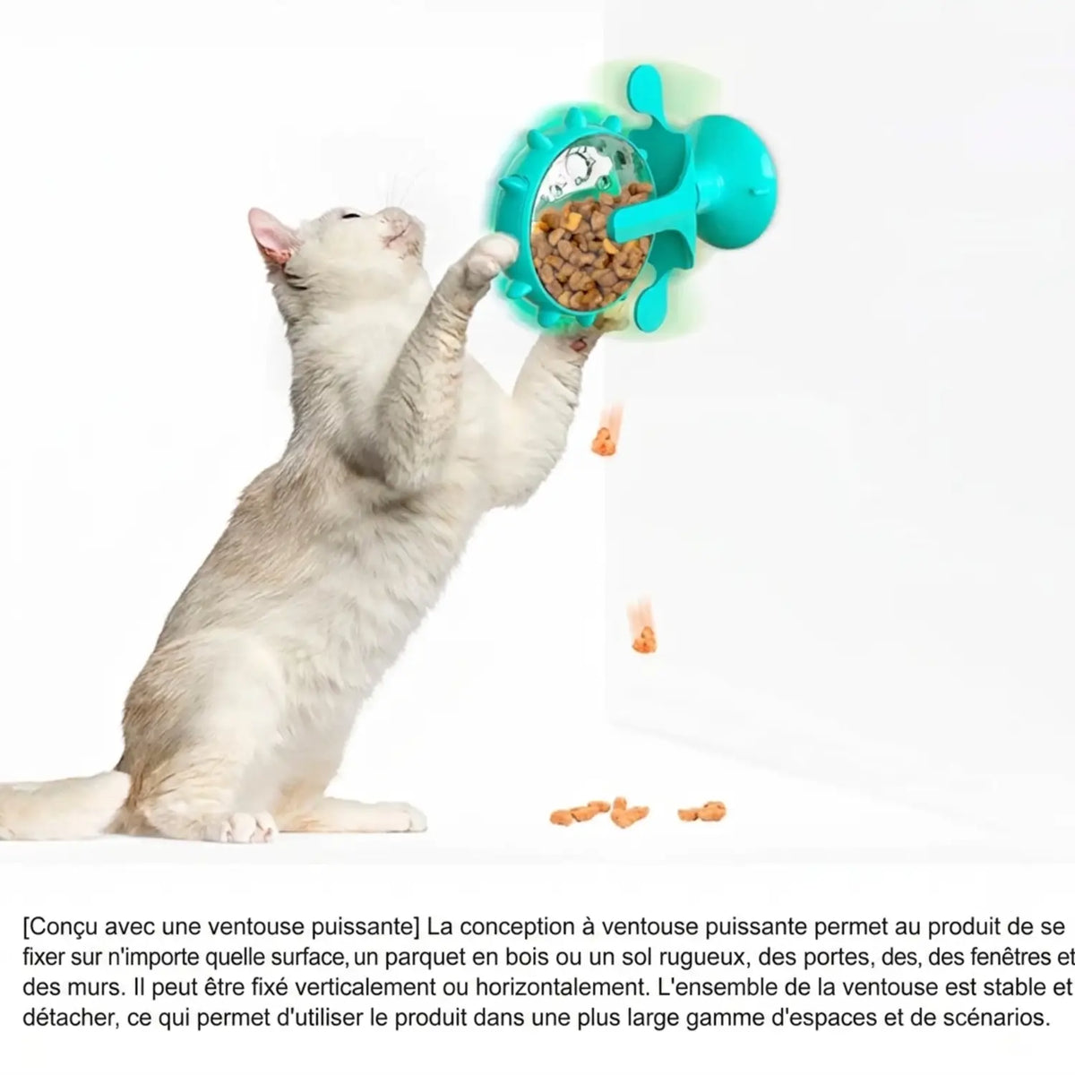 Distributeur Croquettes a Chat 