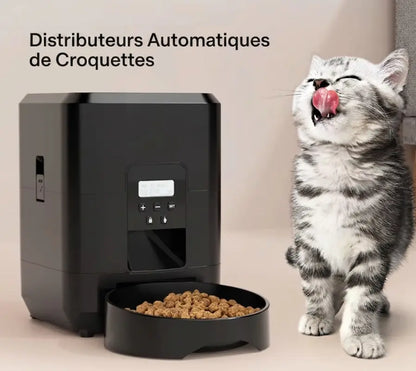 Distributeur Connecté 2L avec Caméra HD – Vision Nocturne