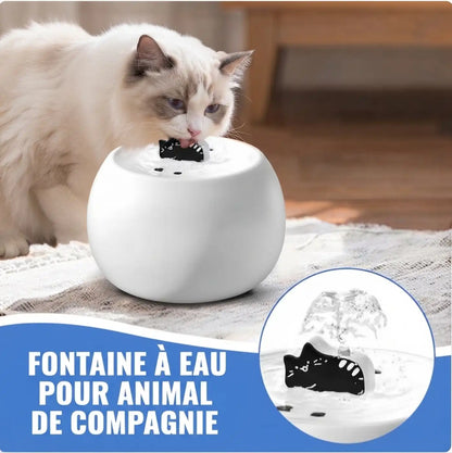 Fontaine pour  Chat