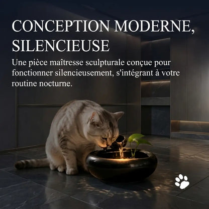 Fontaine à Eau Céramique Filtrante & Circulation Continue pour Chat