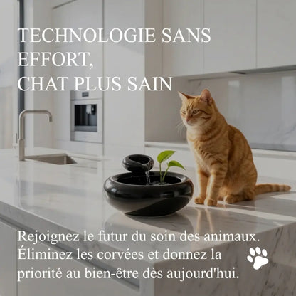 Fontaine à Eau Céramique Filtrante & Circulation Continue pour Chat