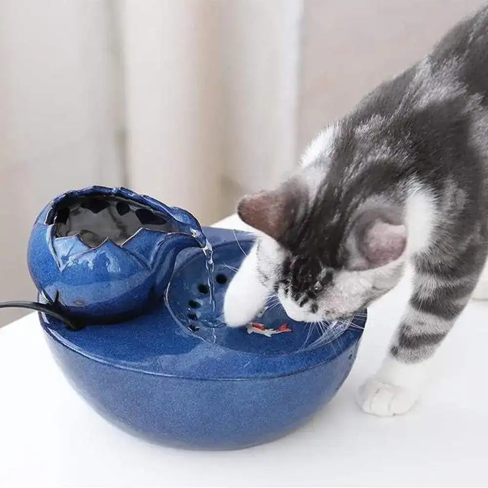 Fontaine à Eau Céramique Filtrante & Circulation Continue pour Chat