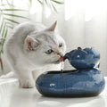 Fontaine à Eau Céramique Filtrante & Circulation Continue pour Chat