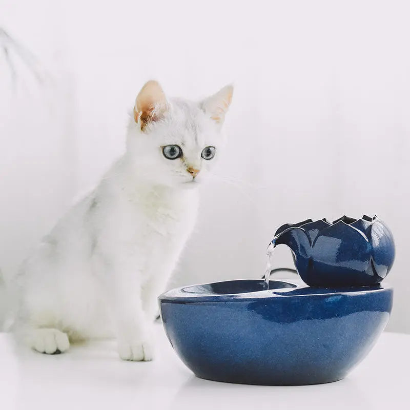 Fontaine à Eau Céramique Filtrante & Circulation Continue pour Chat