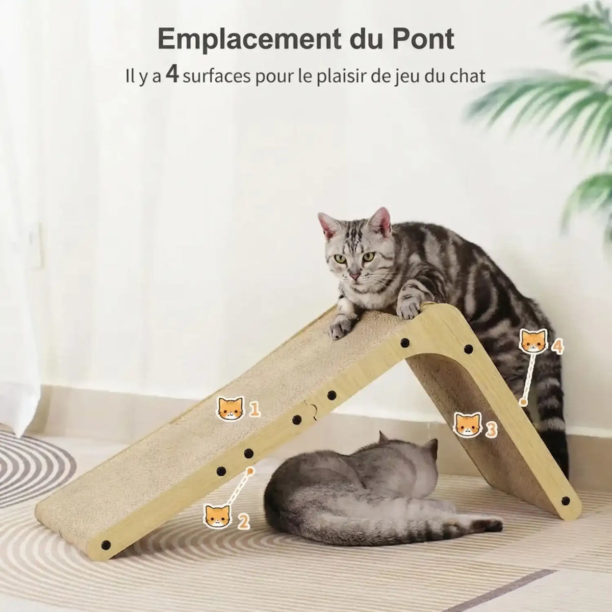 Griffoirs pour chats dans Meubles pour chats
