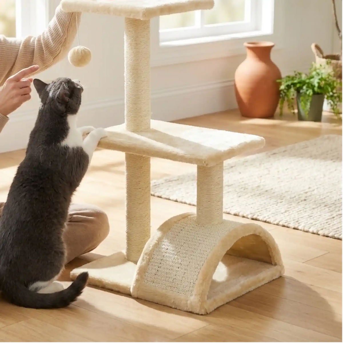 Griffoirs pour chats dans Meubles pour chats