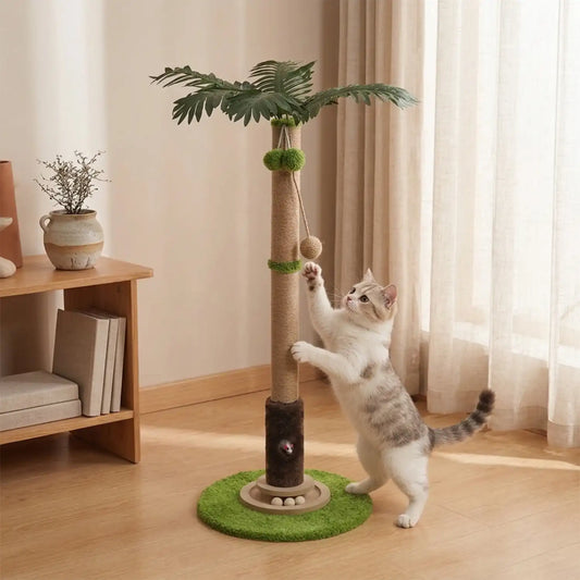 Griffoirs pour chats dans Meubles pour chats