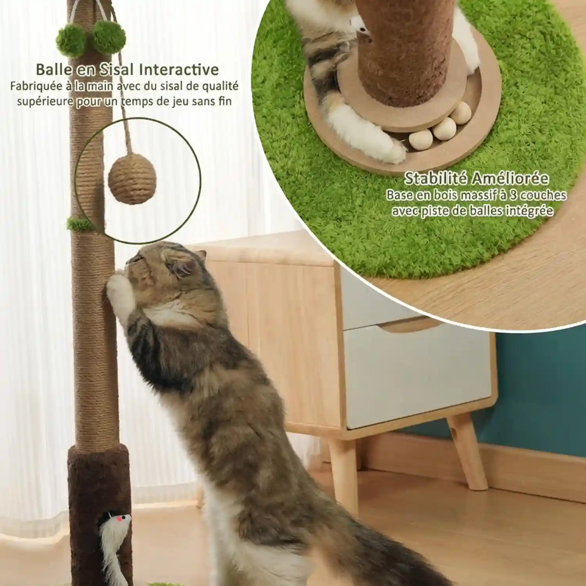 Griffoirs pour chats dans Meubles pour chats