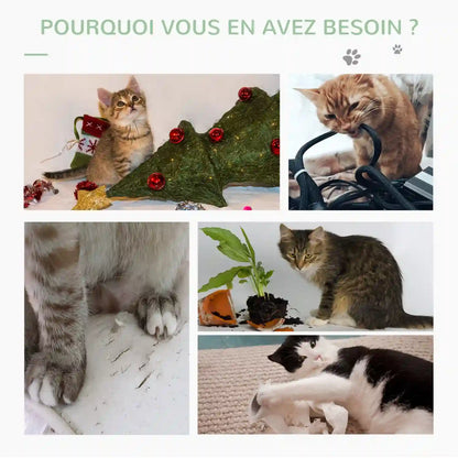 Griffoirs pour chats dans Meubles pour chats