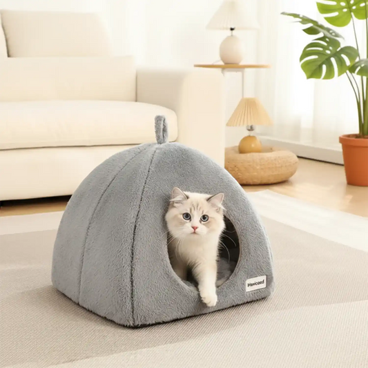 Grottes Chat