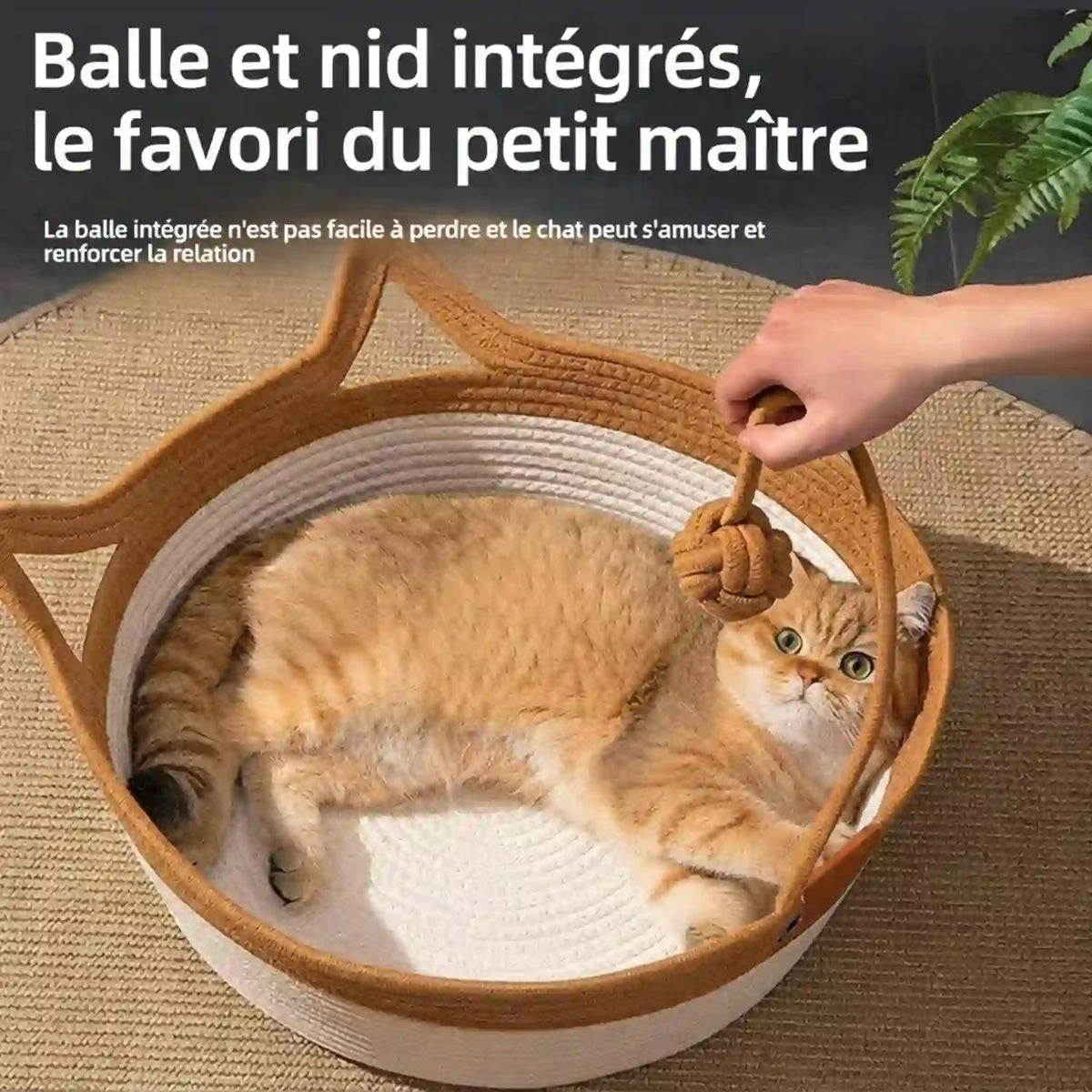 Paniers  a Chat 