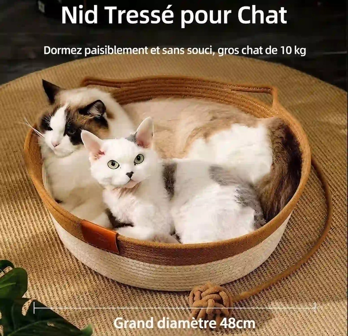 Paniers  a Chat 