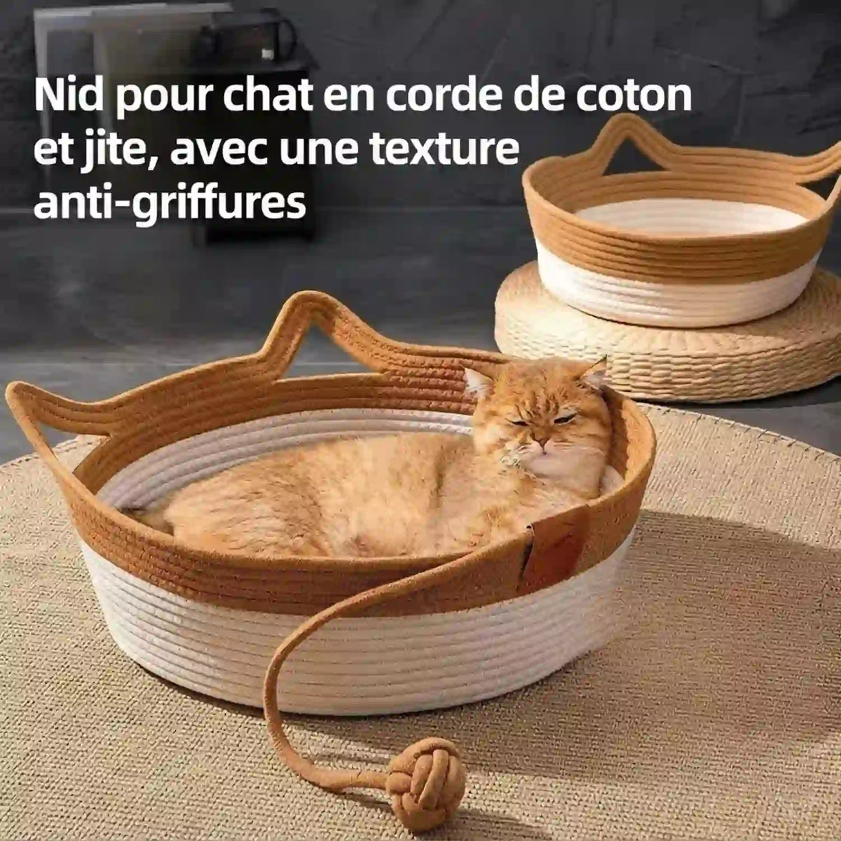 Paniers  a Chat 