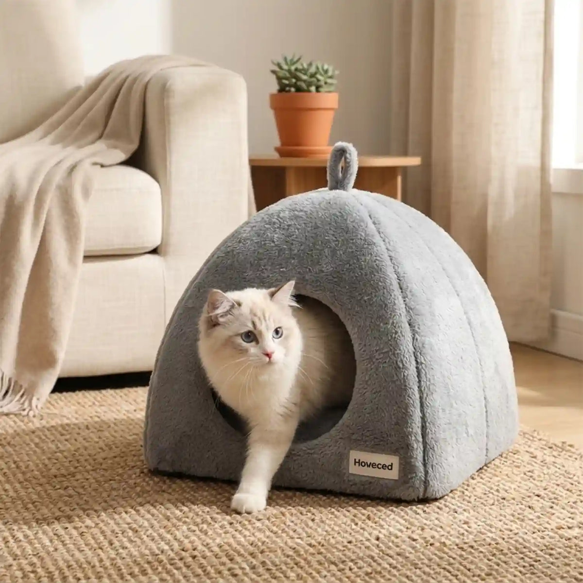 Grottes Chat
