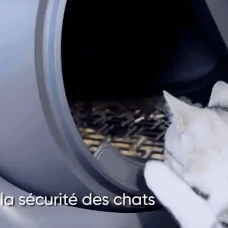 Litiere chat  45