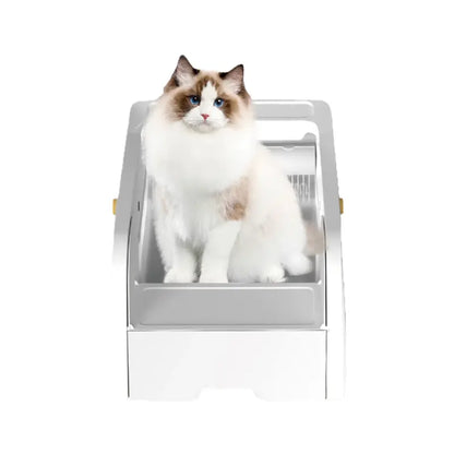 Litère chat 