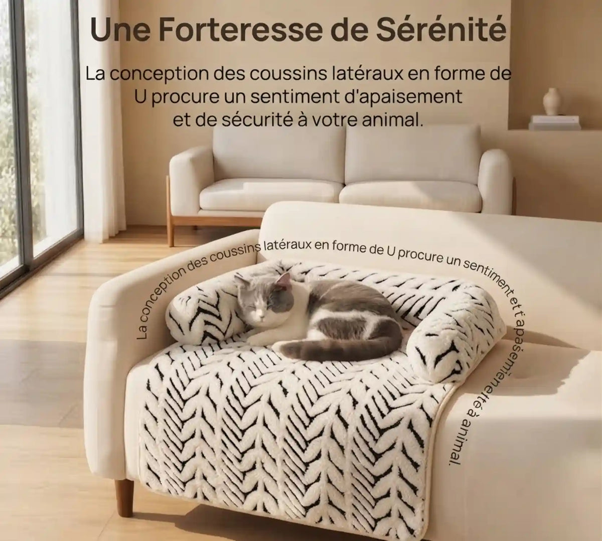 Tapis Panier Chat Zébré – Rebords Surélevés, Protège Canapé