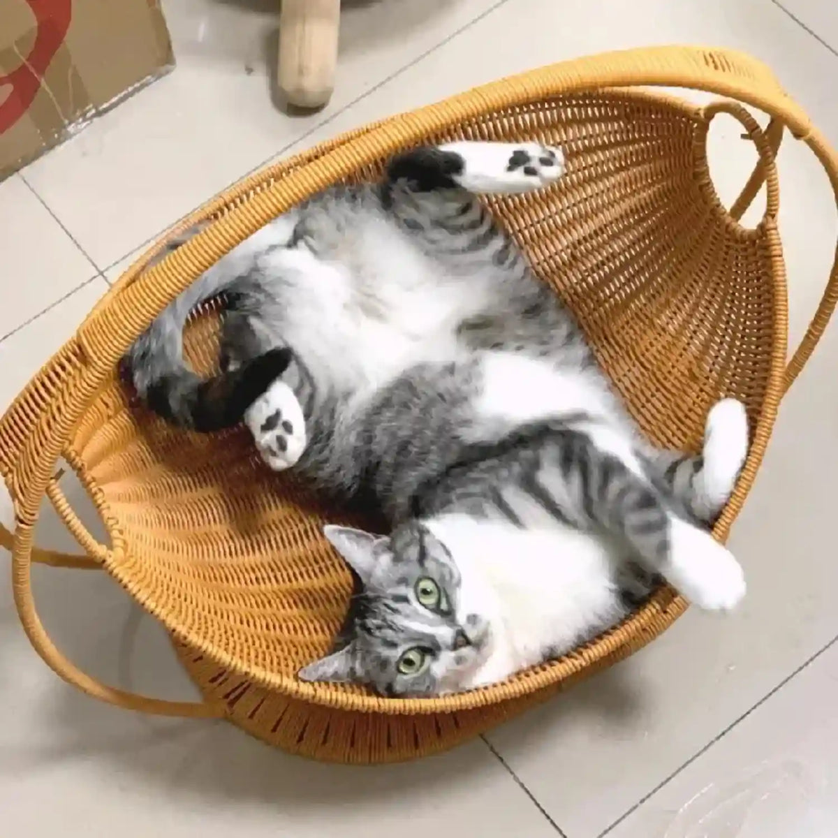 Paniers-pour-Chat 