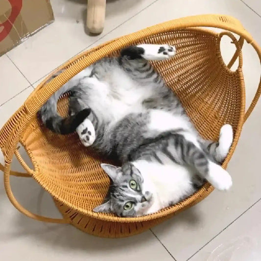 Paniers-pour-Chat 