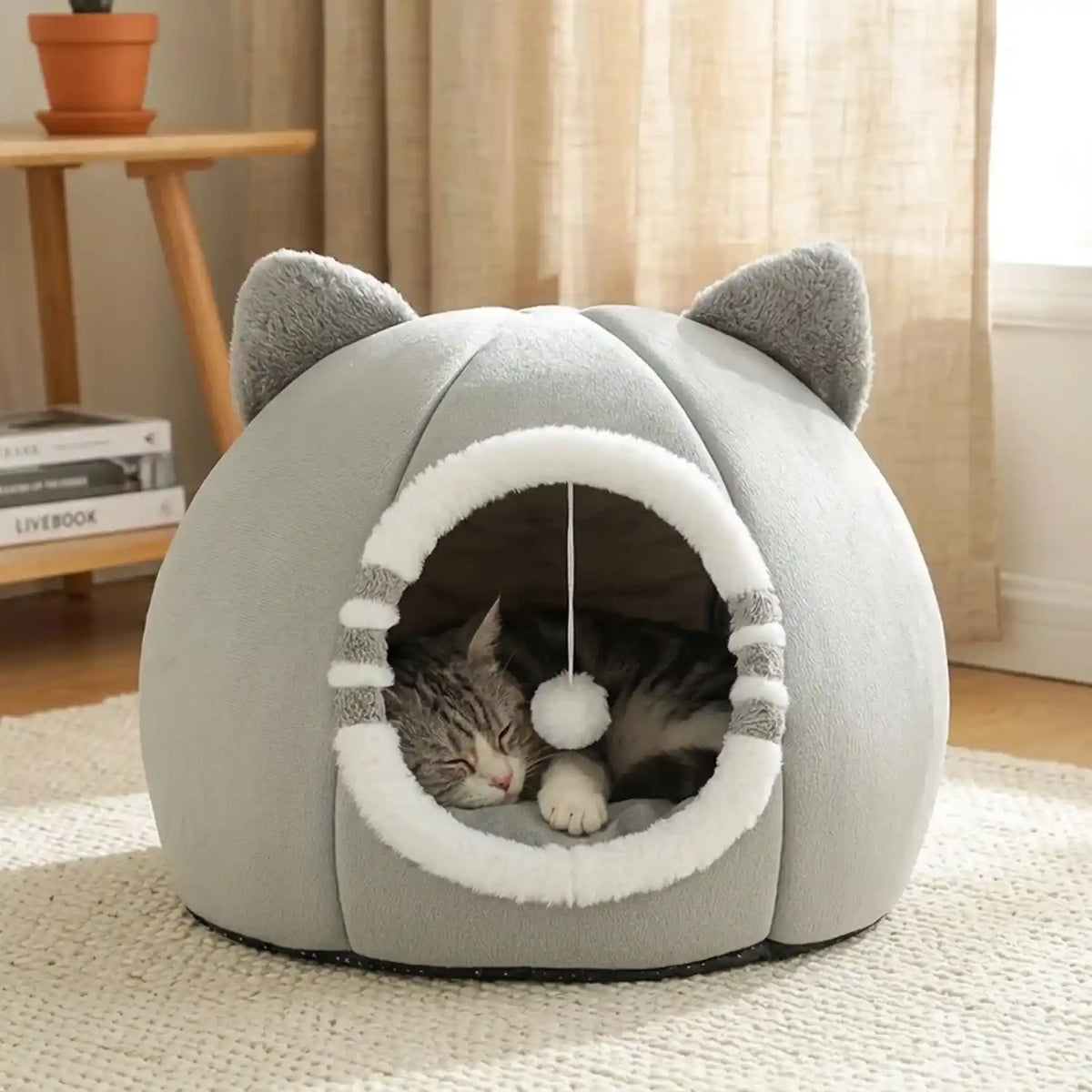 Paniers à Chat 