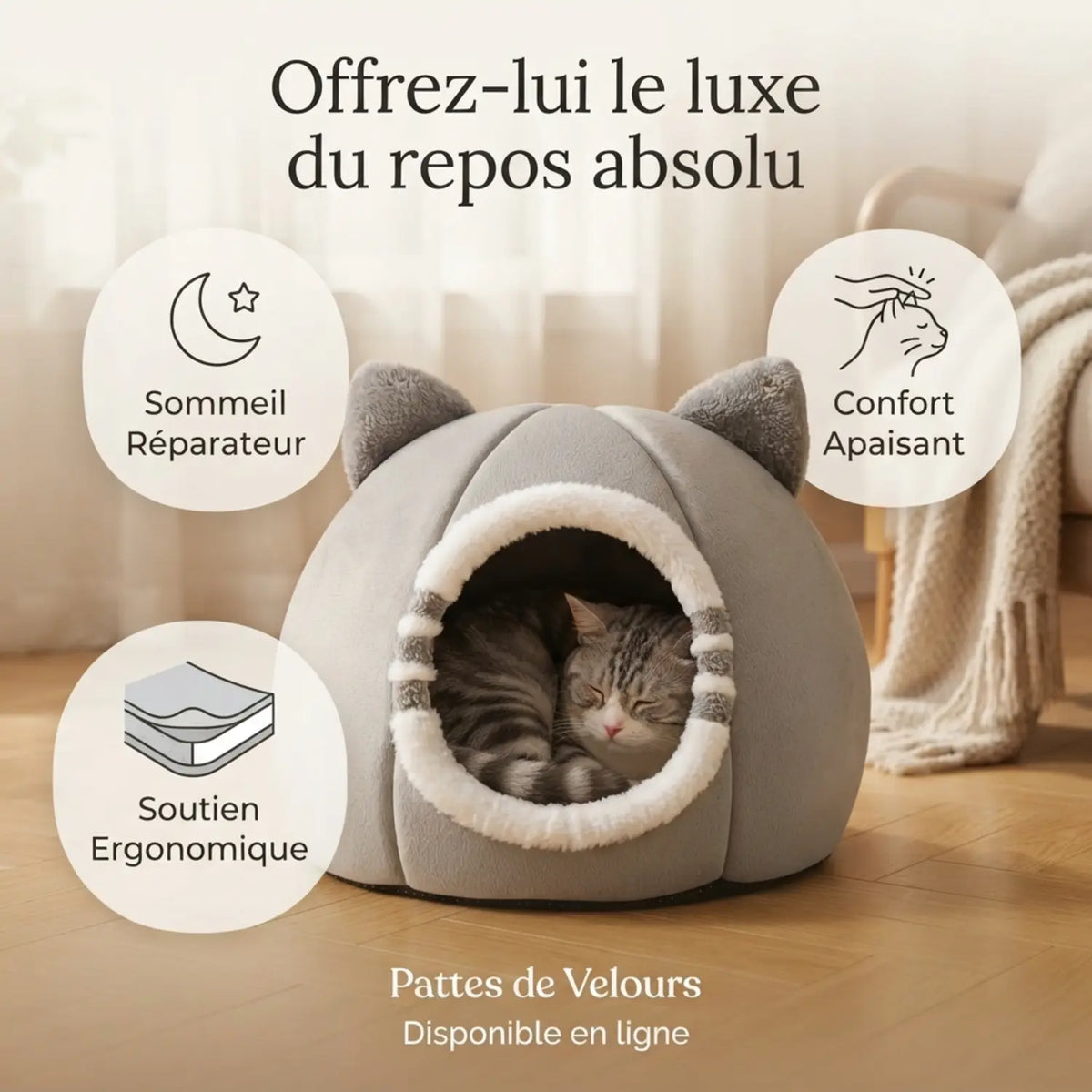 Paniers à Chat 