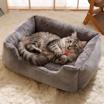 Paniers à chat 