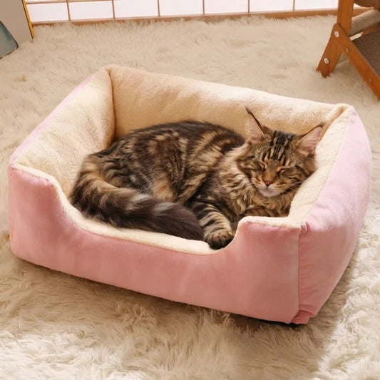 Paniers à chat 
