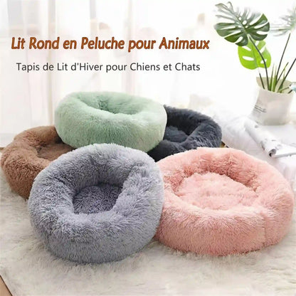 Paniers- dans Lits pour Chat de compagnie