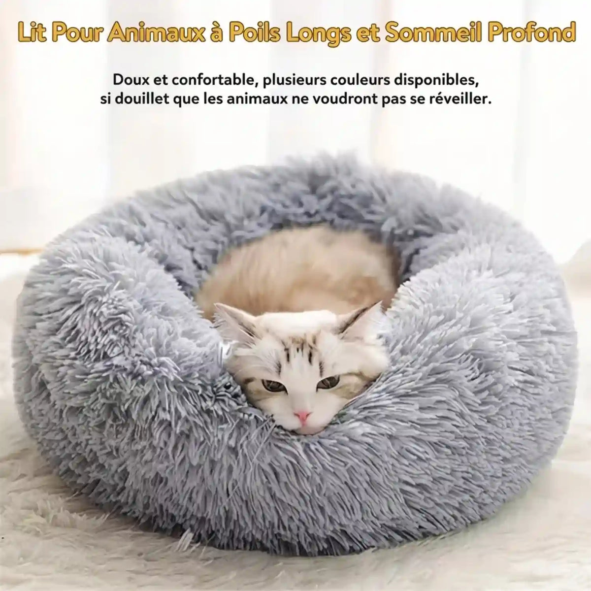 Paniers- dans Lits pour Chat de compagnie