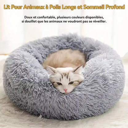 Paniers- dans Lits pour Chat de compagnie