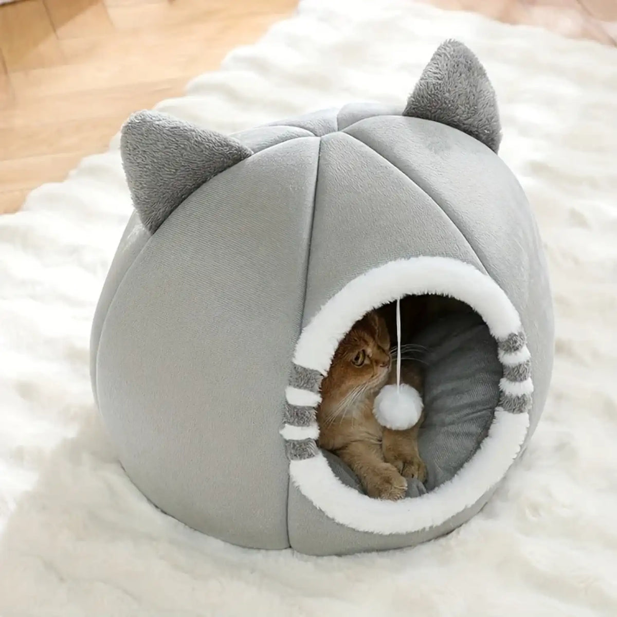 Paniers à Chat 