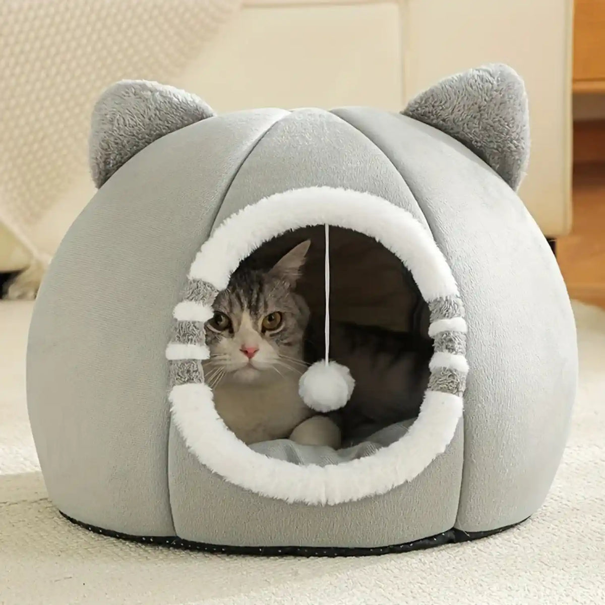 Paniers à Chat 
