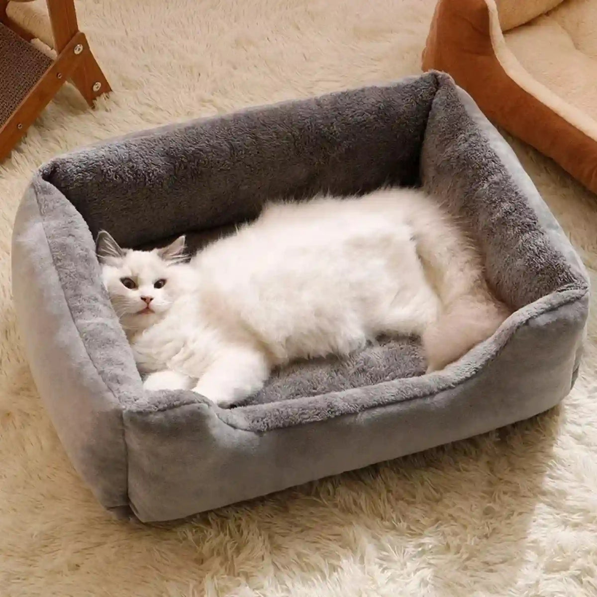 Paniers à chat 
