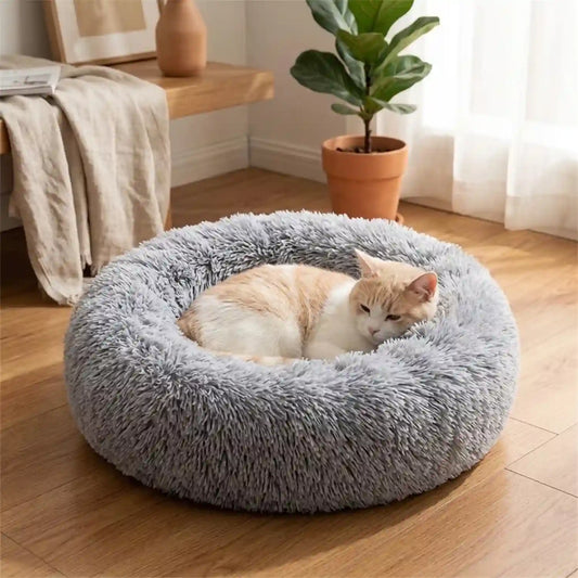 Paniers- dans Lits pour Chat de compagnie
