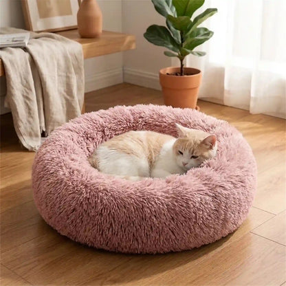 Paniers- dans Lits pour Chat de compagnie