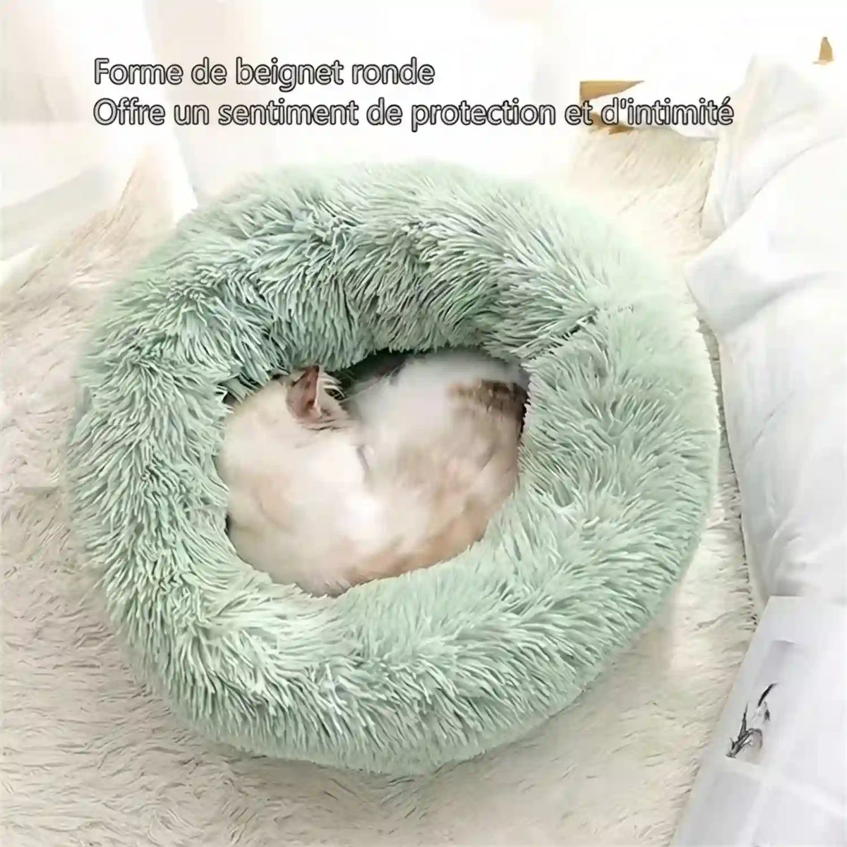 Paniers- dans Lits pour Chat de compagnie