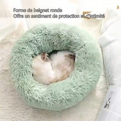 Paniers- dans Lits pour Chat de compagnie