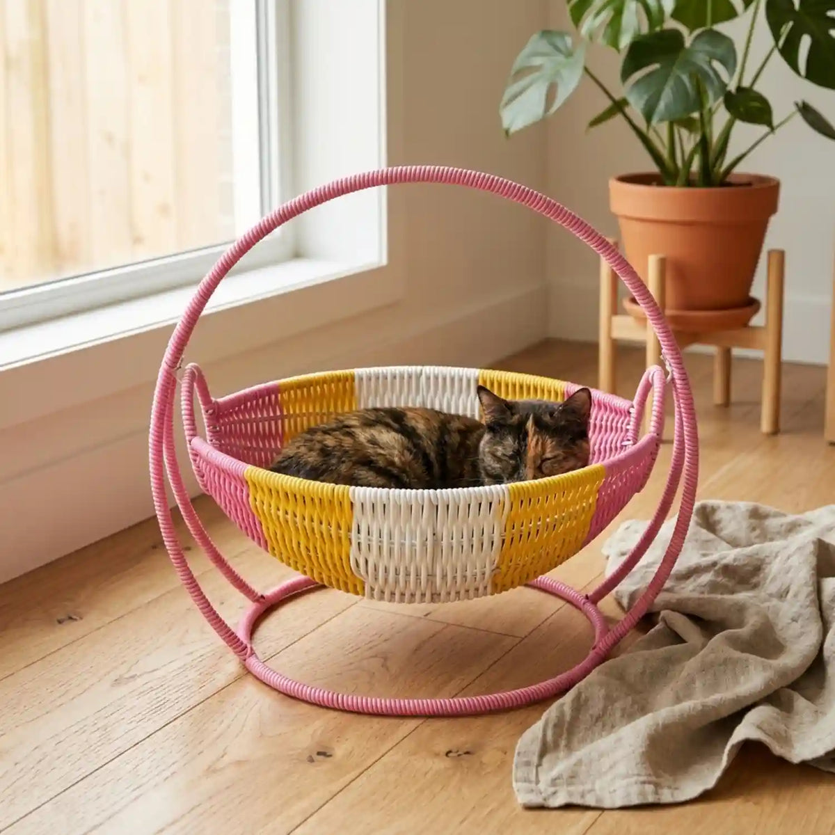Paniers Chat 