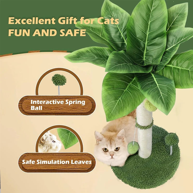 Griffoir Chat 65cm Sisal Premium – Balles Suspendues et Ressort