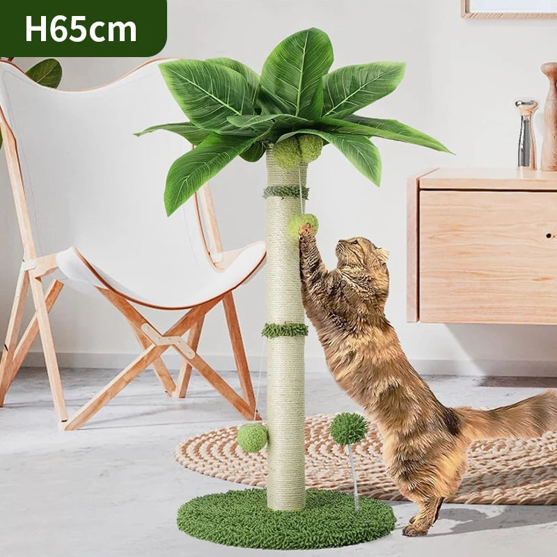 Griffoir Chat 65cm Sisal Premium – Balles Suspendues et Ressort