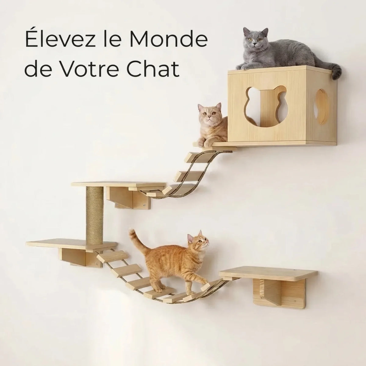 arbre à chat mural
