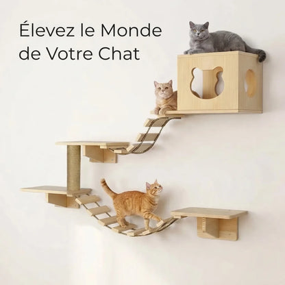 arbre à chat mural