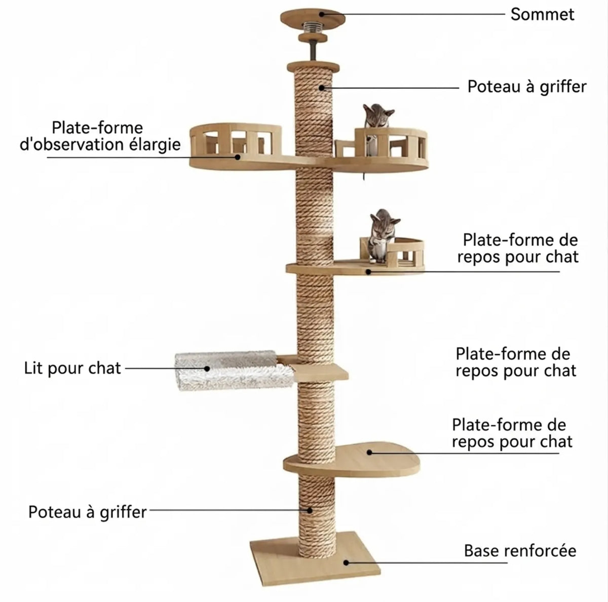 arbre- a-chat -