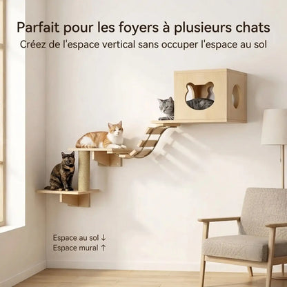 arbre à chat mural