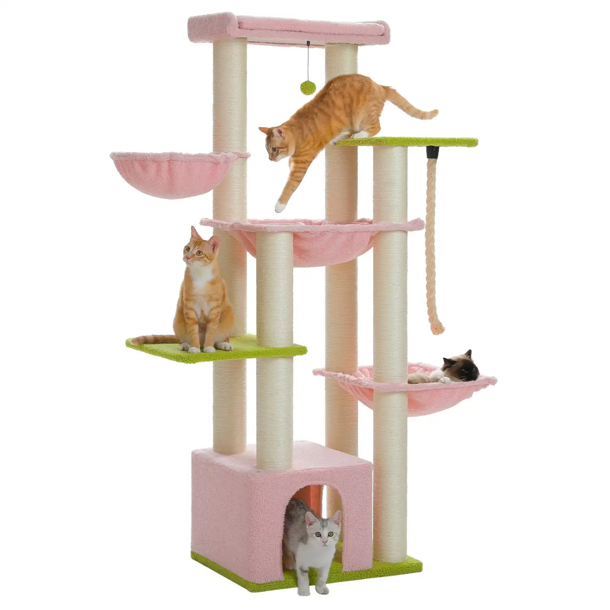 grand-arbre-a-chat